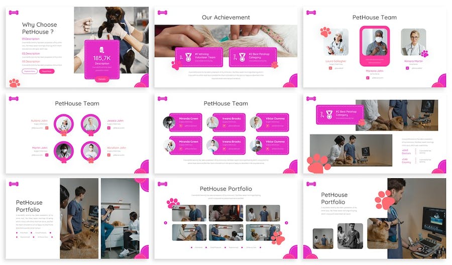 大气宠物医疗动物医院兽医主题PPT模板 - 顶尖PPT