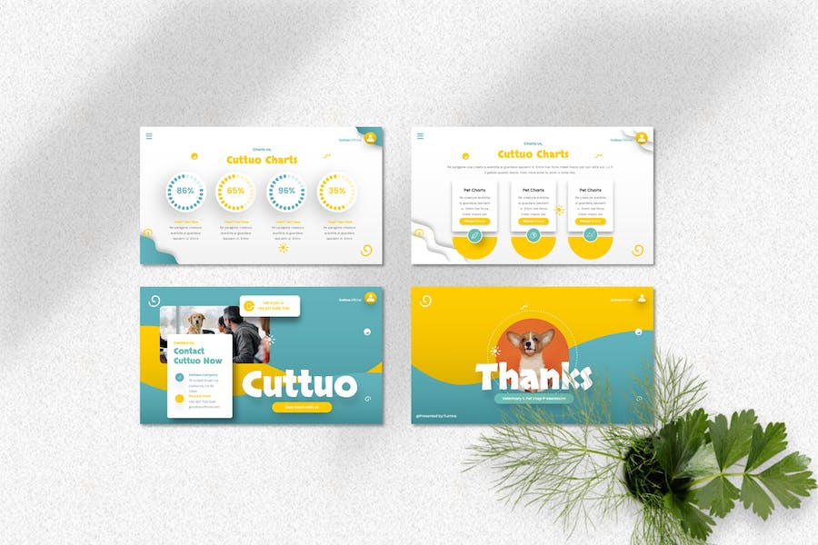 宠物动物护理PPT模板 - 顶尖PPT