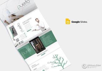 30页5种配色商务演讲通用Google slides模板 - 顶尖PPT