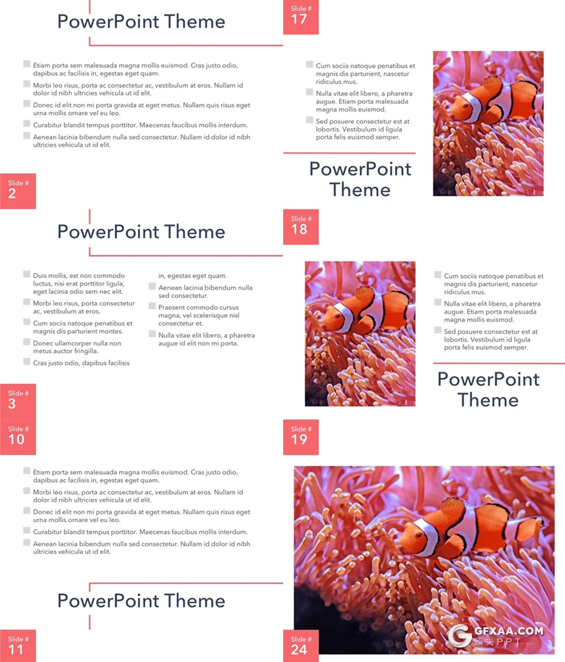 30页海洋生物介绍展示ppt模板 - 顶尖PPT