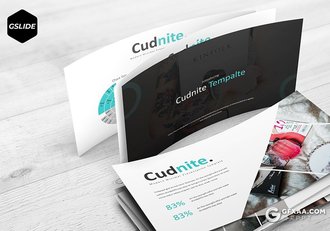 30页5种配色欧美简约风格Google slides模板 - 顶尖PPT