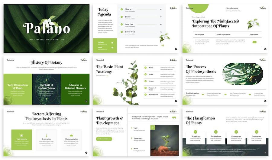 植物学教育培训课程PPT模板 - 顶尖PPT