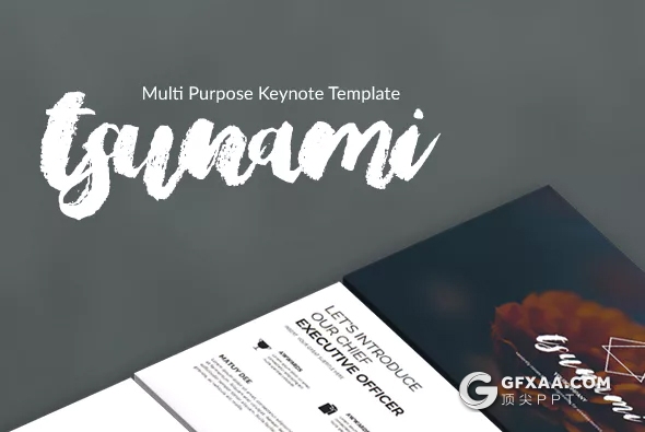 100页高端欧美商务多用途keynote模板 10种主题配色 - 顶尖PPT