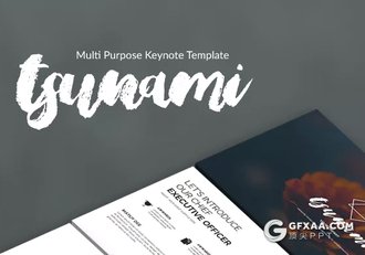 100页高端欧美商务多用途keynote模板 10种主题配色 - 顶尖PPT