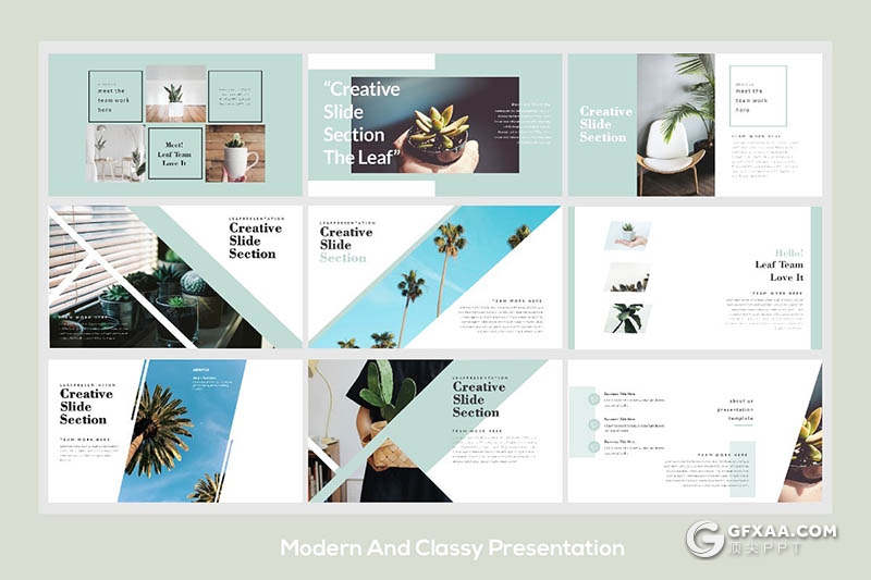 50页简约文艺花草植物展示介绍keynote模板 - 顶尖PPT