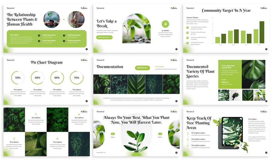 植物学教育培训课程PPT模板 - 顶尖PPT