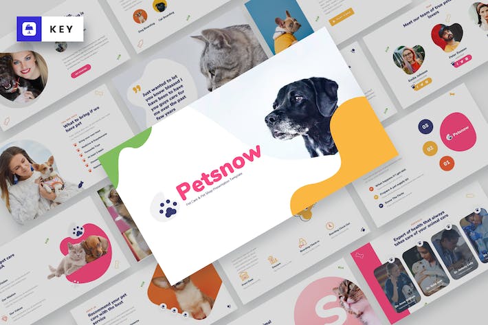 宠物护理宠物店keynote模板 - 顶尖PPT