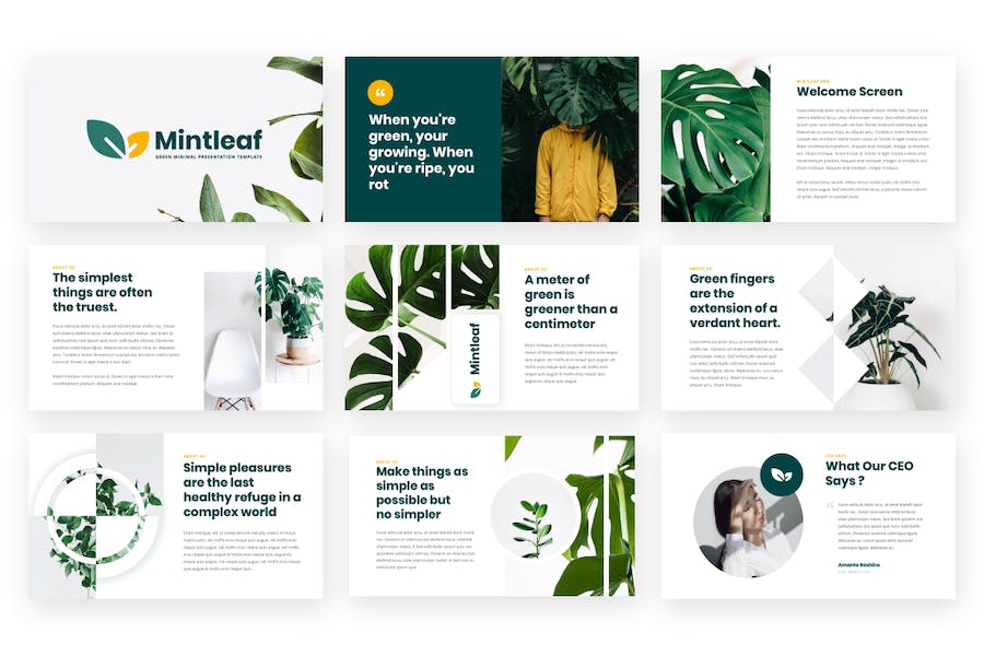 环保主题自然相关行业农产品园艺PPT模板 - 顶尖PPT