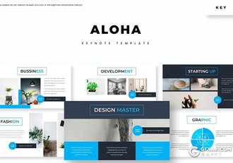 30页5种配色欧美商务风格keynote模板 - 顶尖PPT