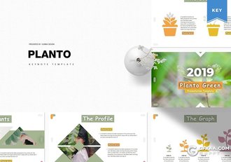 30页5种主题配色 花色植物展示介绍环境绿化keynote模板 - 顶尖PPT