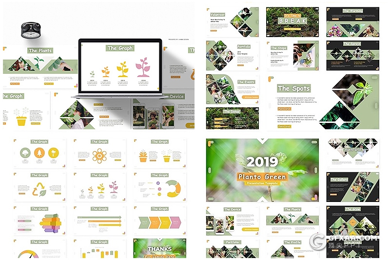 30页5种主题配色 花色植物展示介绍环境绿化Google slides模板 - 顶尖PPT