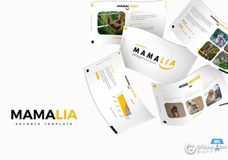 30页5种配色动物介绍展示keynote模板 - 顶尖PPT