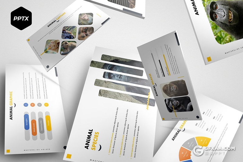 30页5种配色动物介绍展示Google slides模板 - 顶尖PPT