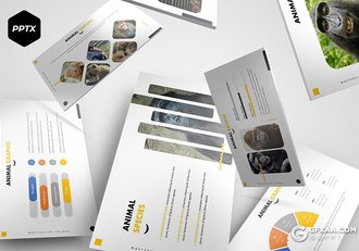 30页5种配色动物介绍展示Google slides模板 - 顶尖PPT