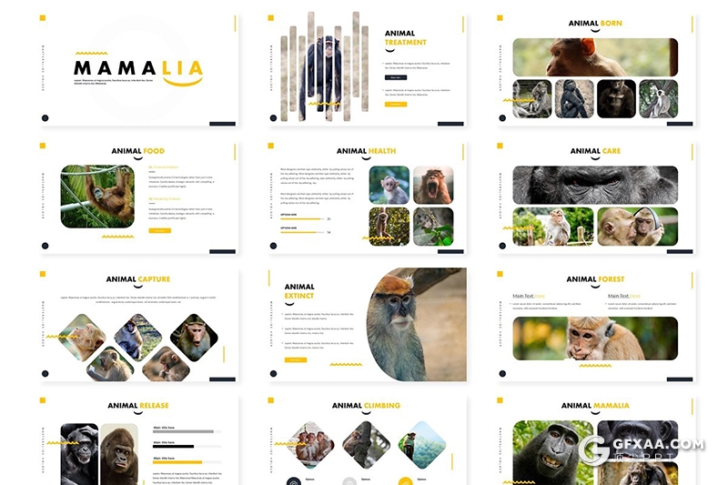 30页5种配色动物介绍展示Google slides模板 - 顶尖PPT