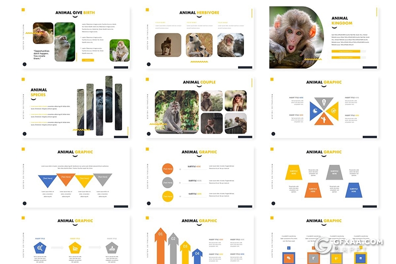 30页5种配色动物介绍展示Google slides模板 - 顶尖PPT