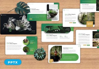 有机食品农业产品宣传推广PPT模板 - 顶尖PPT