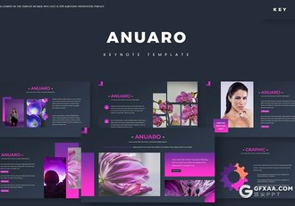 30页5种配色国外精美设计商务通用keynote模板 - 顶尖PPT