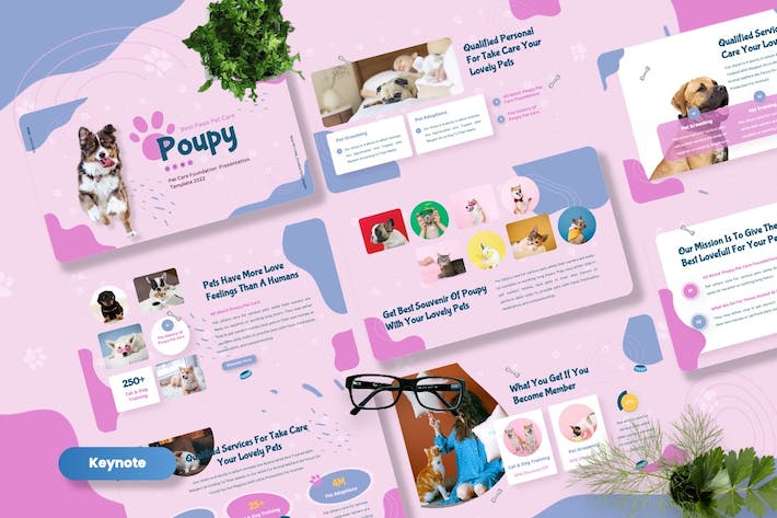 宠物护理服务推广宣传Keynote模板 - 顶尖PPT