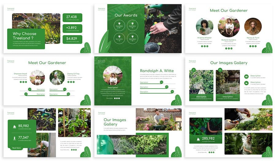 园林规划方案植物养护PPT模板 - 顶尖PPT