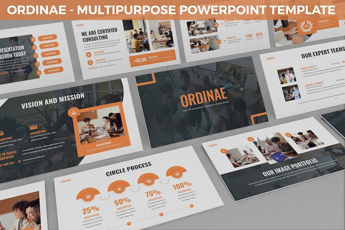 商务汇报学术演示项目提案会议展示PPT模板 - 顶尖PPT