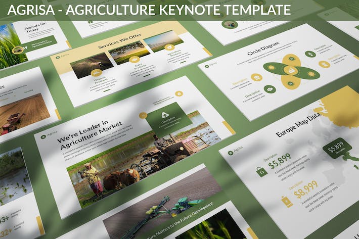 农业协会行业分析keynote模板 - 顶尖PPT