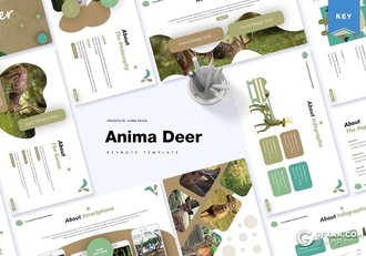 30页5种配色扁平化卡通小鹿都用途keynote模板 - 顶尖PPT