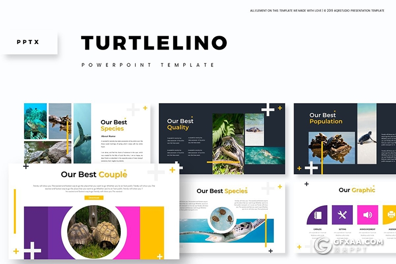 30页国外扁平化海洋生物介绍统计ppt模板 5种主题配色 - 顶尖PPT