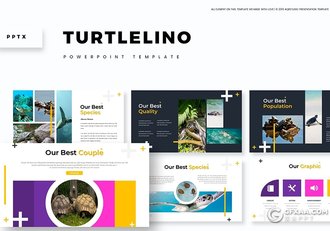 30页国外扁平化海洋生物介绍统计ppt模板 5种主题配色 - 顶尖PPT