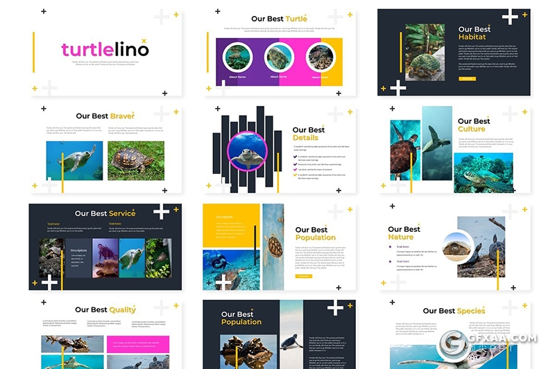 30页国外扁平化海洋生物介绍统计ppt模板 5种主题配色 - 顶尖PPT