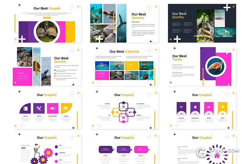 30页国外扁平化海洋生物介绍统计ppt模板 5种主题配色 - 顶尖PPT