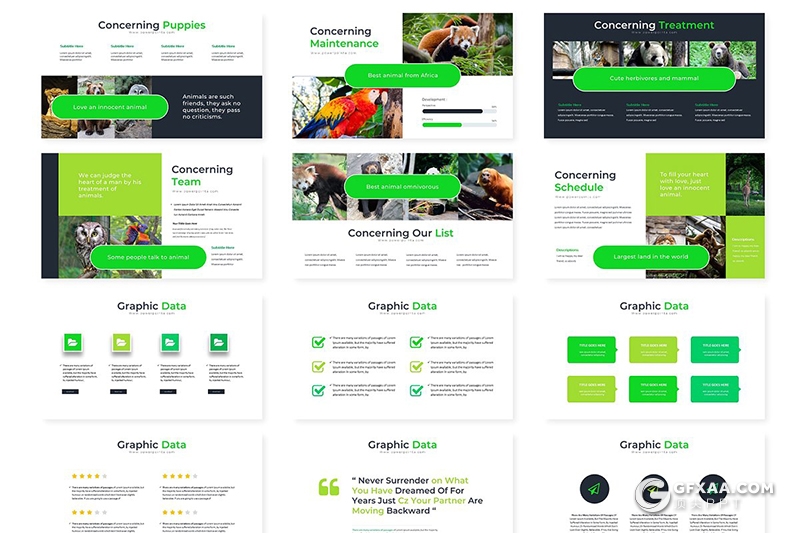 30页5种主题配色野生动物介绍展示ppt模板 - 顶尖PPT