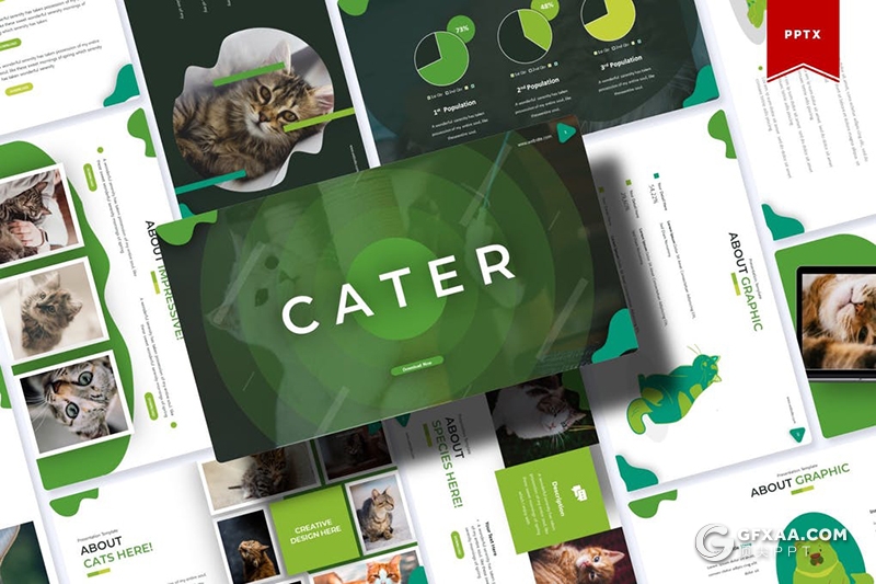 30页5种配色猫类动物介绍展示PPT模板 - 顶尖PPT