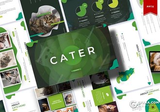 30页5种配色猫类动物介绍展示PPT模板 - 顶尖PPT