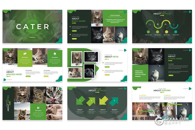 30页5种配色猫类动物介绍展示PPT模板 - 顶尖PPT