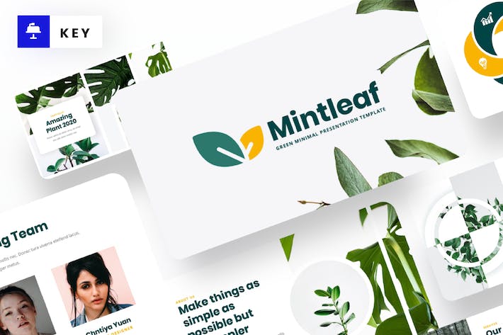 绿色极简风格设计展示Keynote模板 - 顶尖PPT