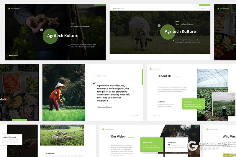 36页农业生产农产品介绍展示ppt模板 - 顶尖PPT