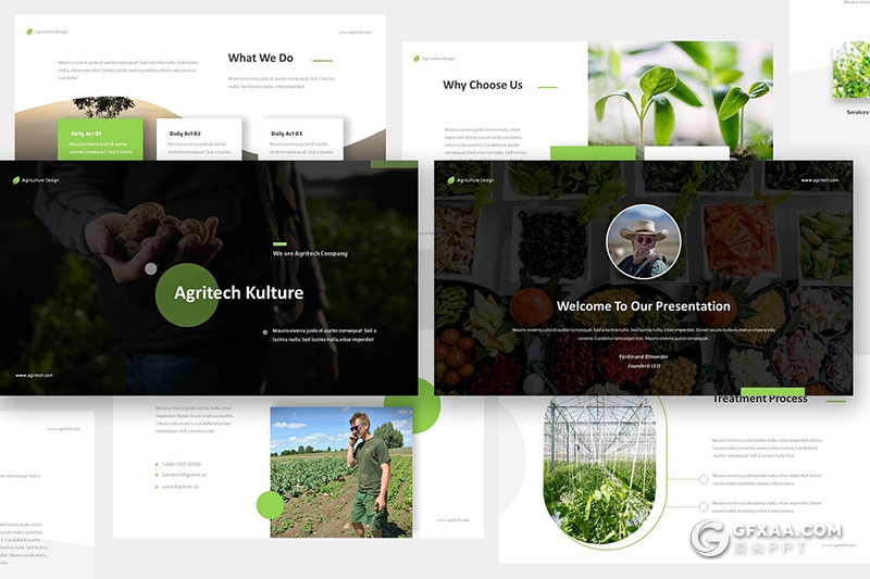 36页农业生产农产品介绍展示ppt模板 - 顶尖PPT