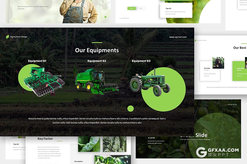 36页农业生产农产品介绍展示ppt模板 - 顶尖PPT