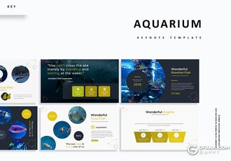 30页5种配色海洋生物介绍分析统计keynote模板 - 顶尖PPT