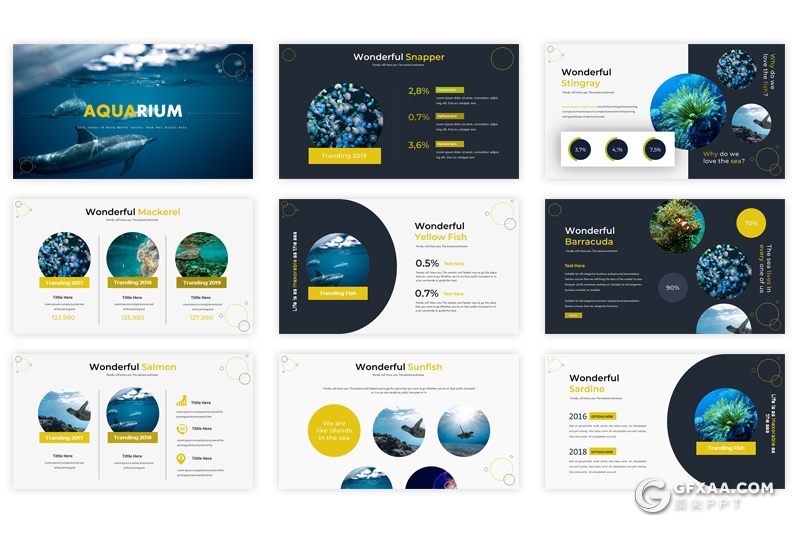 30页5种配色海洋生物介绍分析统计Google slides模板 - 顶尖PPT