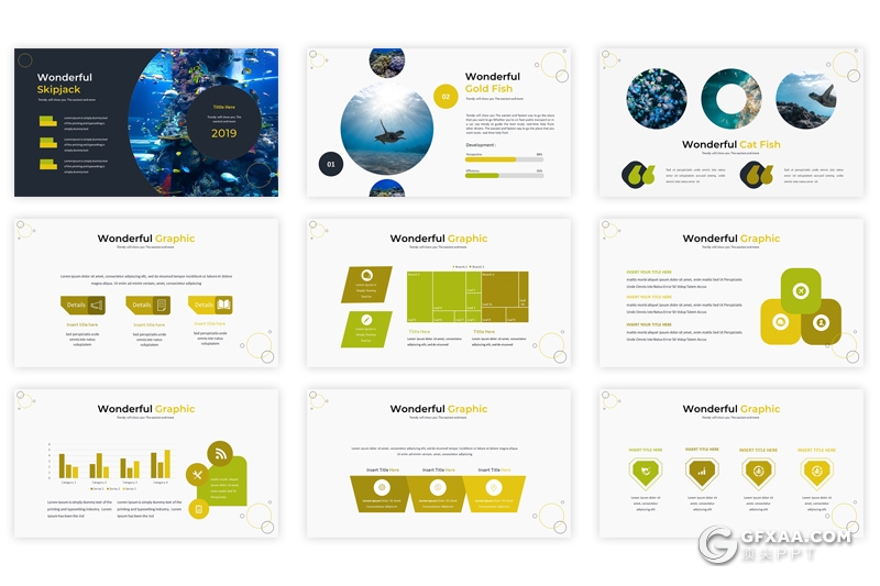 30页5种配色海洋生物介绍分析统计Google slides模板 - 顶尖PPT