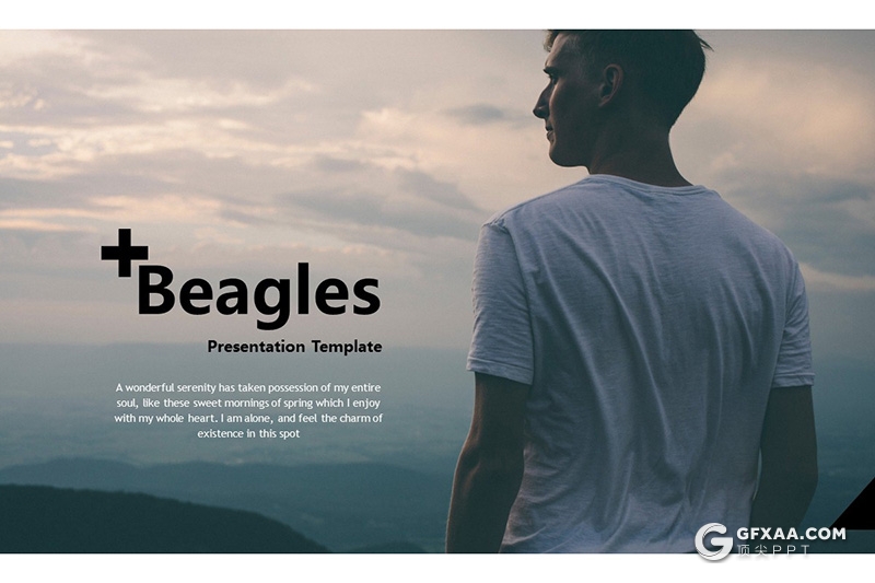 30页国外扁平化极简商务风格PPT模板 - 顶尖PPT