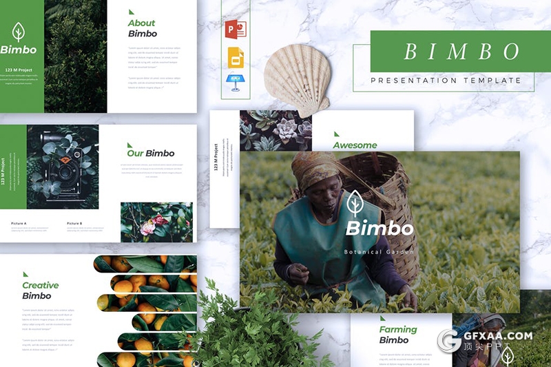 30页5种配色植物学研究分析keynote模板 - 顶尖PPT