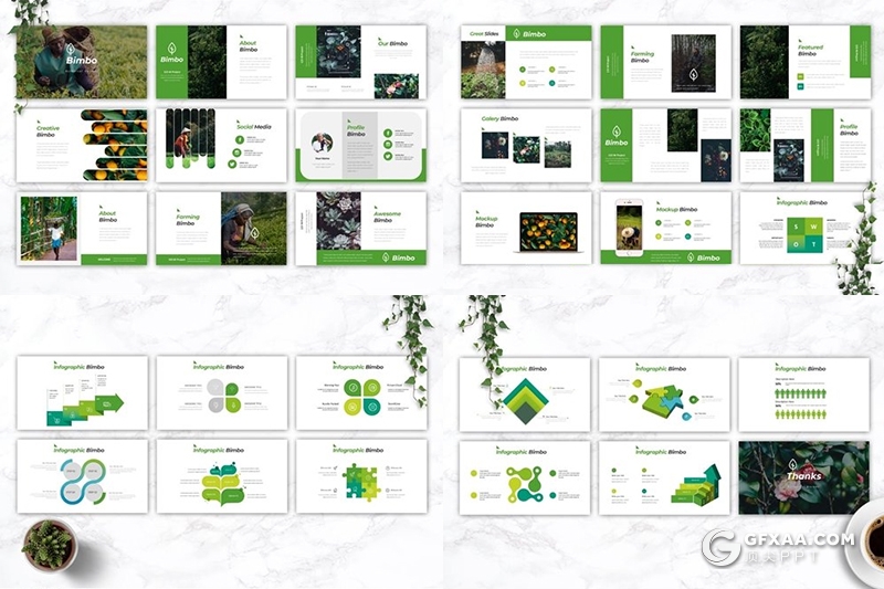 30页5种配色植物学研究分析keynote模板 - 顶尖PPT