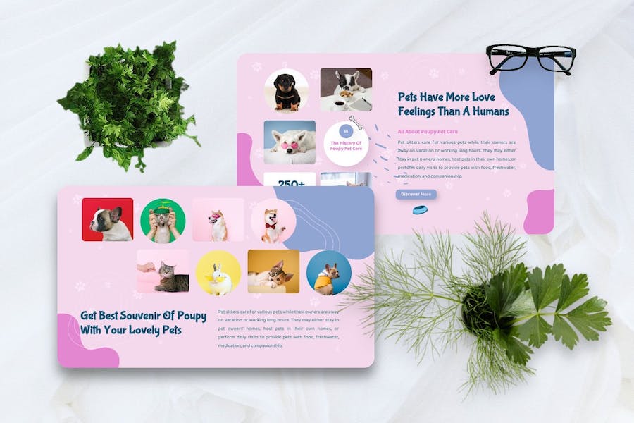 宠物护理服务推广宣传Keynote模板 - 顶尖PPT