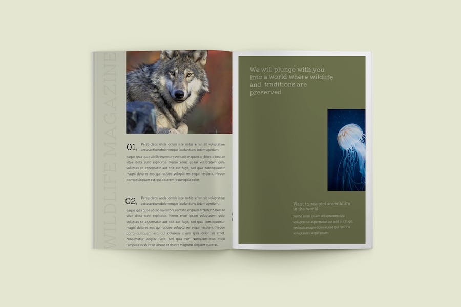 野生动物杂志keynote模板 - 顶尖PPT