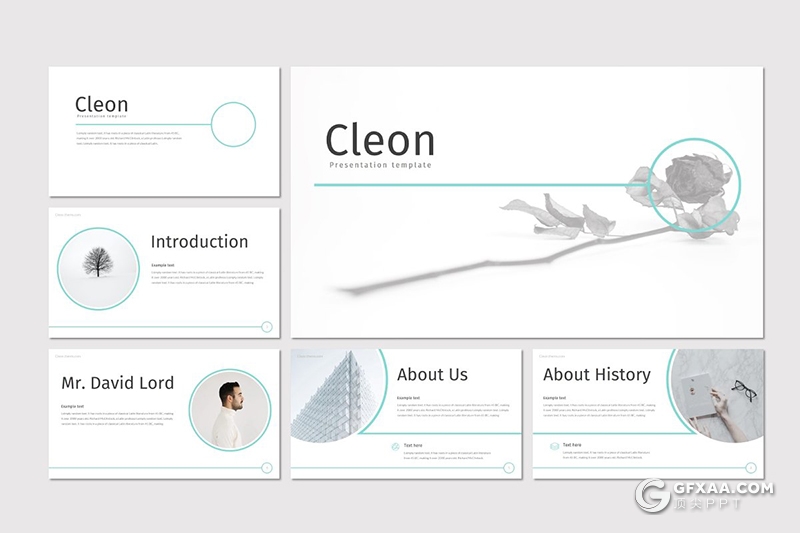 30页个人求职简历个人工作历程介绍展示ppt模板 5种配色风格 - 顶尖PPT