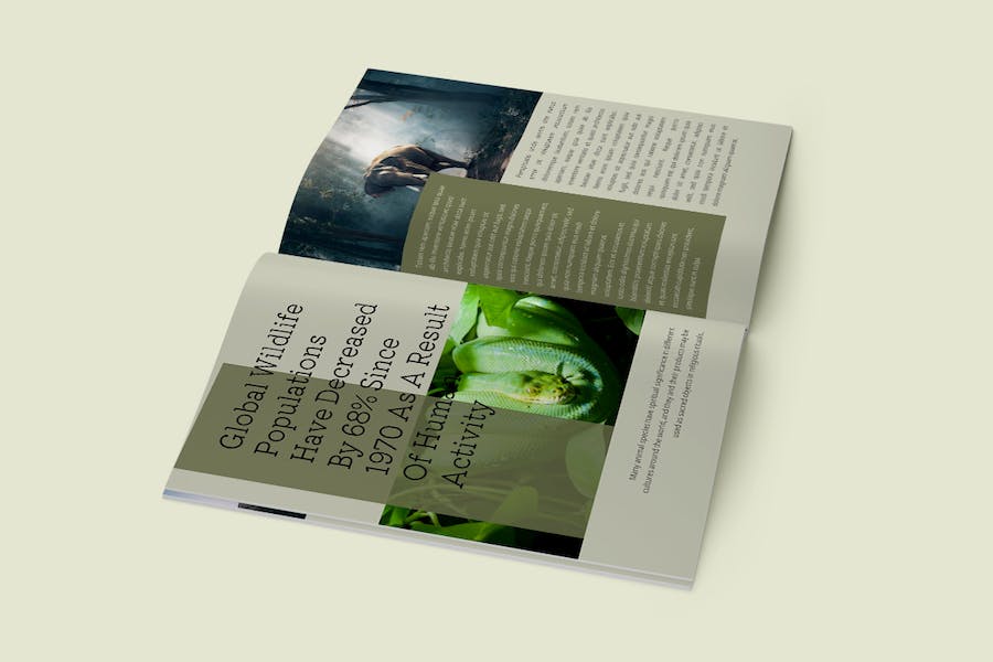 野生动物杂志keynote模板 - 顶尖PPT