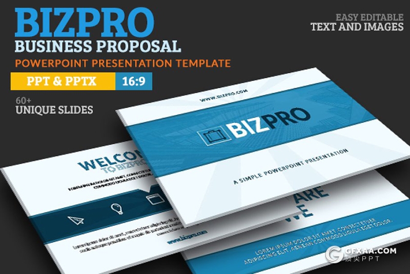 65页项目提案工作总结分析PPT模板 - 顶尖PPT